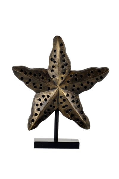 qdec Modern Dizayn Deniz Yıldızı Biblo Gold